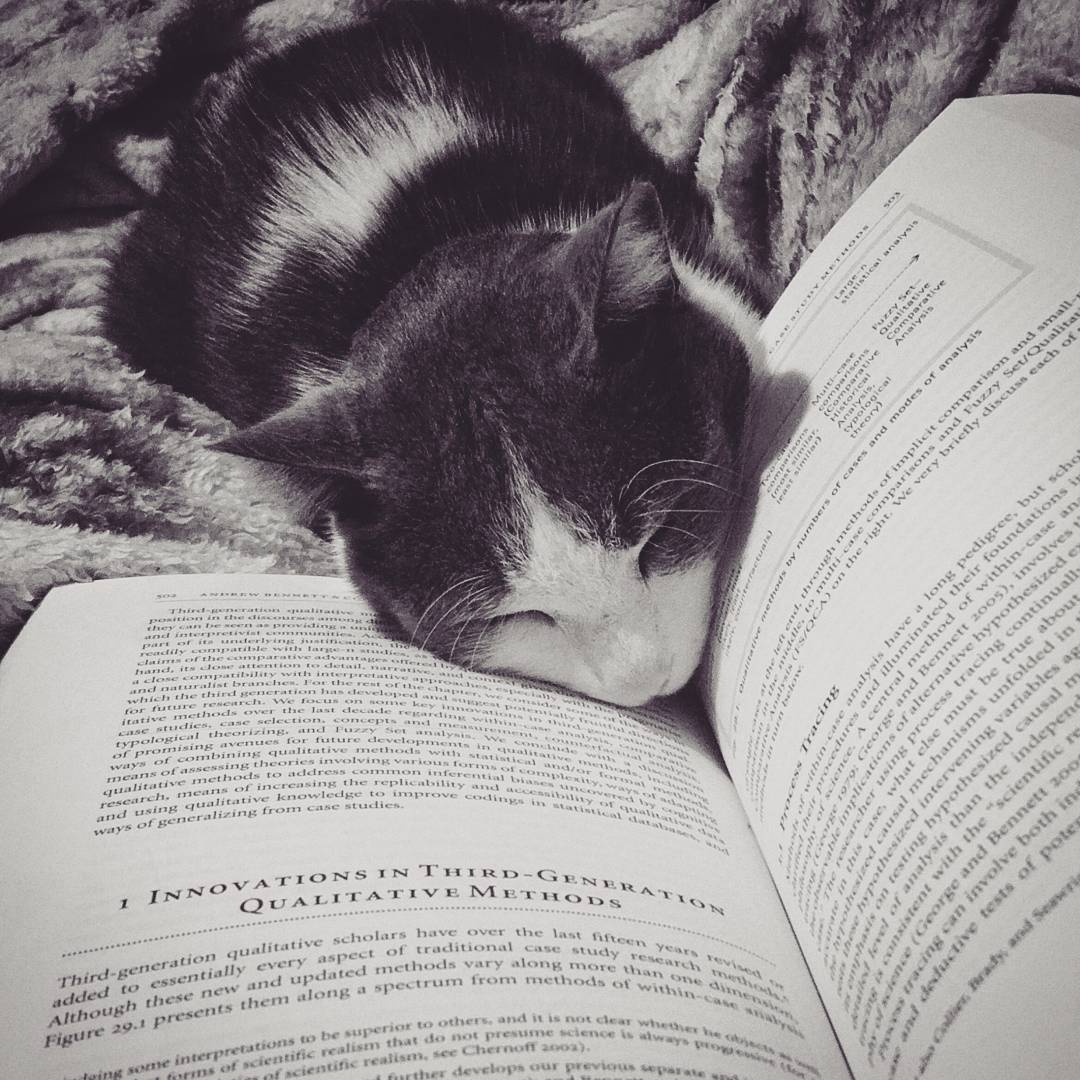 cat sleeping over a book