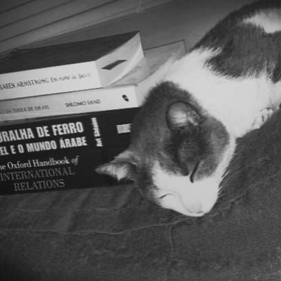cat sleeping with books
